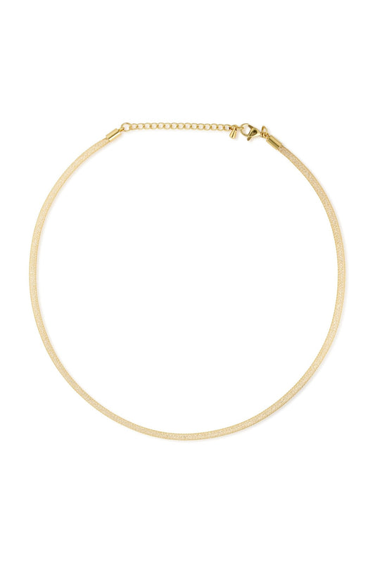 C004 - CARLOTA TALLER